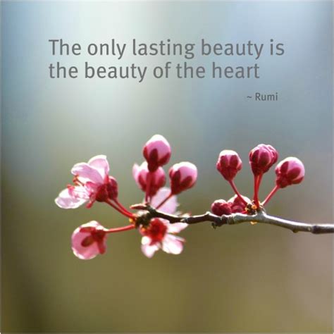 Love pretty tree quote heart flowers cherry blossom weheartit. Cherry Blossom Quotes Sayings. QuotesGram