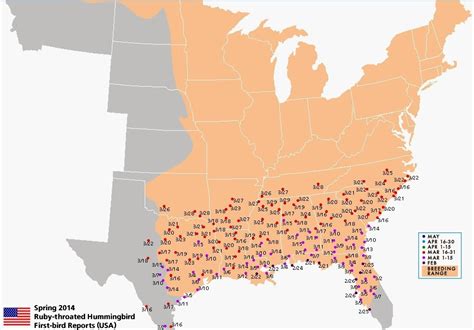 Baltimore Oriole Migration Map 2018 Maps Catalog Online