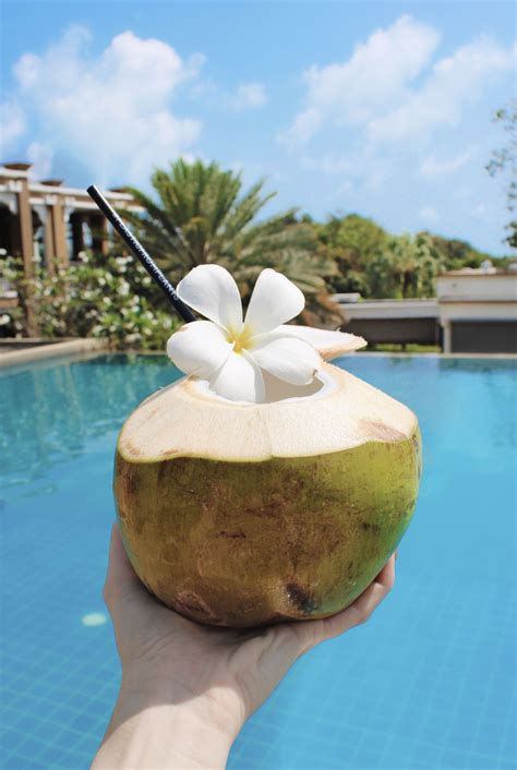 Coconut A Day Keeps The Doctor Away Coconut Travel Style Coconut Water
