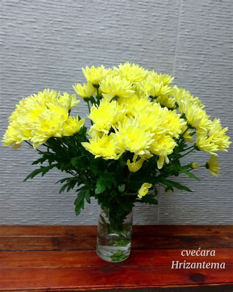 Cvećara Hrizantema Orlovača Rezano cveće
