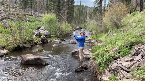Fly Fishing In The White Mountains Of Arizona Youtube