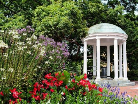 Things to Do in Raleigh, Durham, Chapel Hill | VisitNC.com