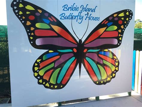 Review Bribie Island Butterfly House A Flutterin