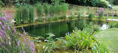 Natural Swimming Pools Warwickshire Swimming Pond Design Staffordshire Eco Pools Warwickshire