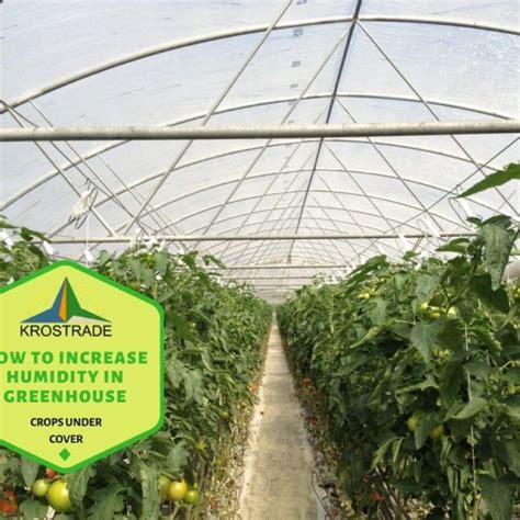 How To Shade A Polytunnel In The Uk In 3 Steps Krostrade Uk