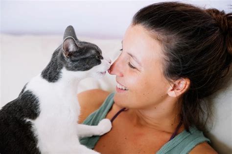 Why Do Cats Lick You Reasons Behind This Cat Behavior