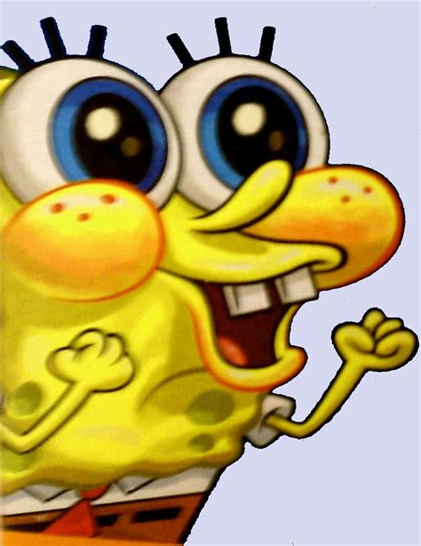 Koleksi Spongebob Meme Knowyourmeme Terbaik Dan Te Vrogue Co