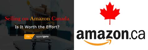 How to report a seller on amazon canada. How to get Amazon Choice & Best Seller Mark Products ...