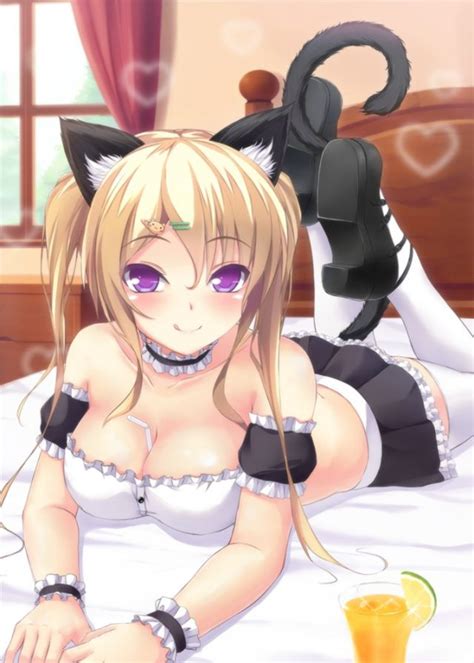 Hh 89 Busty Neko Maids Monster Girls Pictures Pictures