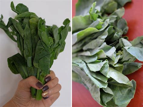 Macedonia square is 5 km from hotel denicija, while kale fortress is 5 km from the property. What's a good replacement for kale? - JewelPie