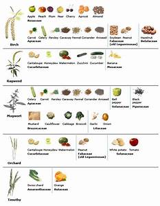 Pollen Food Cross Reactivity Pi Allergy Syndrome Food Allergies