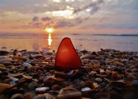 Sea Glass Sunrise And Shells 9 1018 Photograph By Mark Lemmon Fine