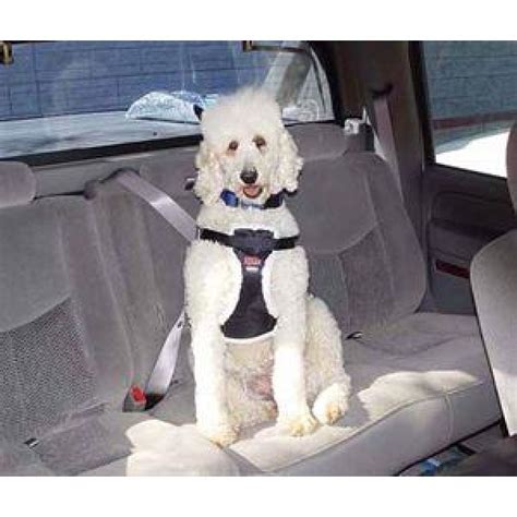 Crash Tested Easy Rider Car Harness By Coastal Pet Products Xtra Dog