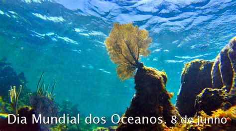 8 de junho é o dia mundial dos oceanos. Dia Mundial dos Oceanos. 8 de junho (8/6) Conservação ...