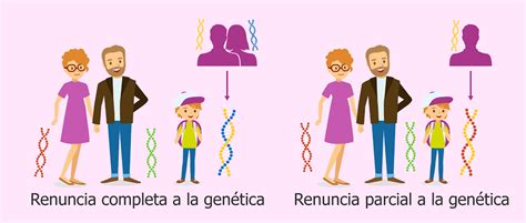 Herencia Genetica Conjunto De Fichas Gambaran