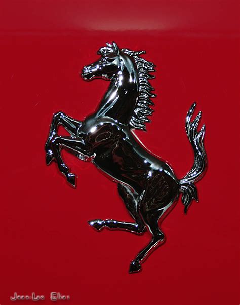 Founded by enzo ferrari in 1939 out of the alfa rome. Ferrari horse photo - Jean-Luc Elias photos at pbase.com