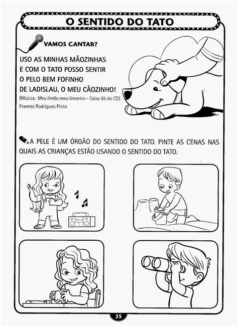 Atividades Sobre Os Sentidos 4 Ano