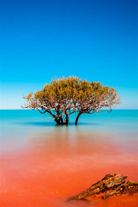 Most Beautiful Places In Australia Photos Crab Creek In Broome