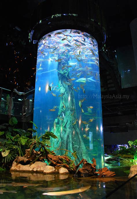 Located beneath the kuala lumpur convention centre, aquaria klcc is home to more than 5,000 aquatic and marine animals from in just one day, tour kuala lumpur's four star animal attractions: Aquaria KLCC Kuala Lumpur Picture - Malaysia Asia Travel Blog