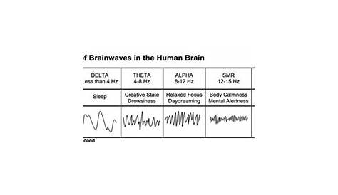Neuro Clinic » What are the Brain Waves Frequencies? - Neuro Clinic