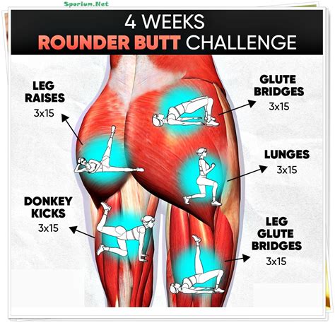 Ass Workout Leg And Glute Workout Buttocks Workout Bodyweight