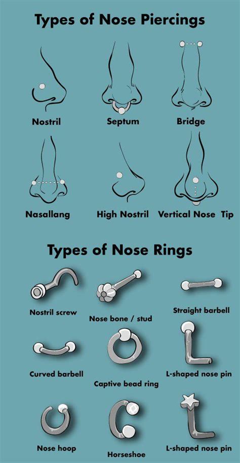 Types Of Nose Rings And Nose Piercings Cute Nose Piercings Nose
