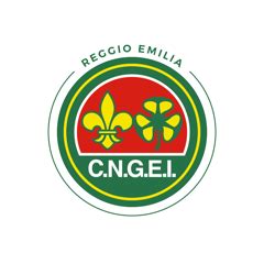 Home Cngei Reggio Emilia | Scout Reggio Emilia