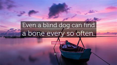 Alexei Sayle Quote Even A Blind Dog Can Find A Bone Every So Often
