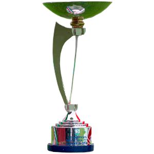 Serie B Trophy_2 | Trofeos deportivos, Trofeos