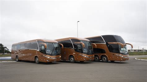 The group of seven (g7) is an intergovernmental organization consisting of canada, france, germany, italy, japan, the united kingdom and the united states. New G7: Marcopolo se renueva en autobuses foráneos ...