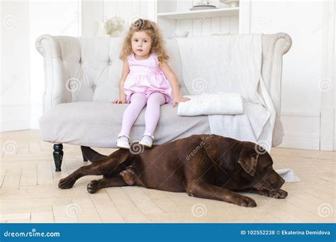Little Girl And Big Dog Stock Photo Image Of Domestic 102552238