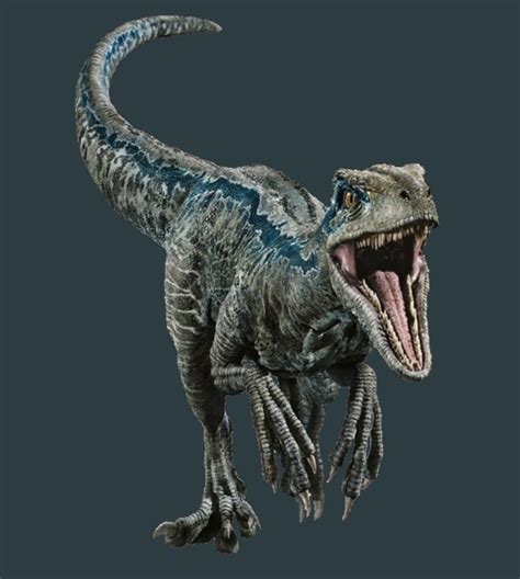 Jurassic World Fallen Kingdom Full Photo Of The Velociraptor♥ Blue