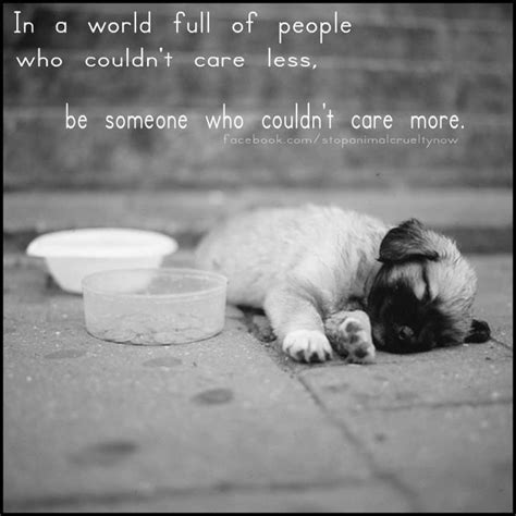 Homeless Puppy Dog Quotes Dogs Animal Quotes