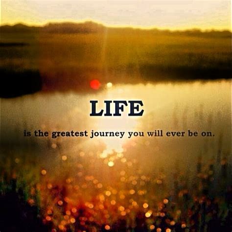 life is the greatest journey you will ever be on estee levinson