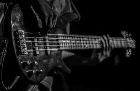 Bassist Wallpapers Wallpaper Cave