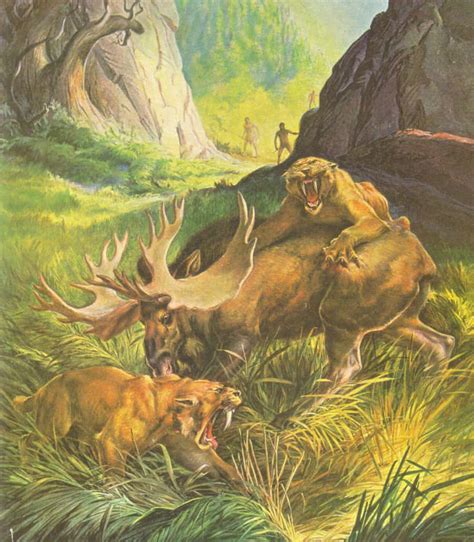 North American Animals Smilodon Prehistoric Creatures