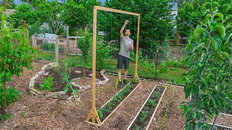 James Prigioni How To Build A Tomato Trellis Using Only One Piece Of