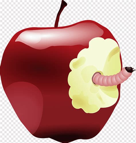Apple Worm Bitten Fruit Rotten Eaten Food Maggot Crawl