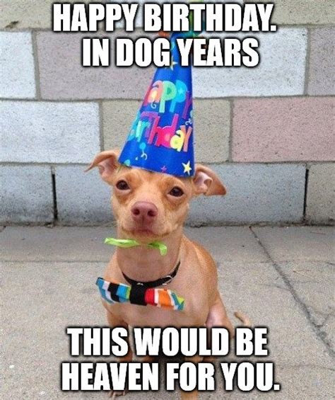 Happy birthday, my dearest friend! 104 Funny and Cute Happy Birthday Memes to Send to Friends ...