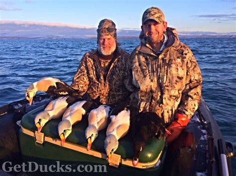 Alaska King Eider Hunting Ramsey Russells