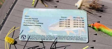 Can you get your license back if you have a warrant for your arrest in nc. 5 Reasons to Get Your Fishing License Online