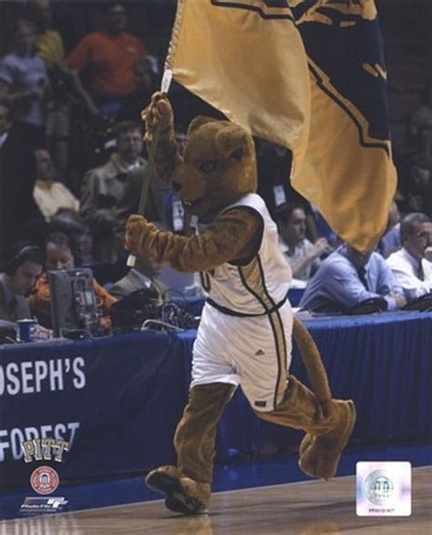 University Of Pittsburgh Panthers Mascot 2004 Photo Print 11 X 14