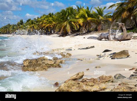 Exotic Beach Caribbean Sea Stock Photo Alamy