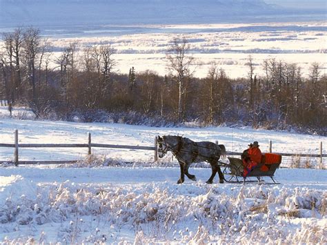 Winter sleigh ride | Winter wonderland wallpaper, Winter wallpaper, Winter landscape