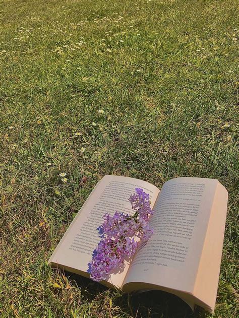 Aesthetic Retro Book Reading Outside Flowers Vintage Photography