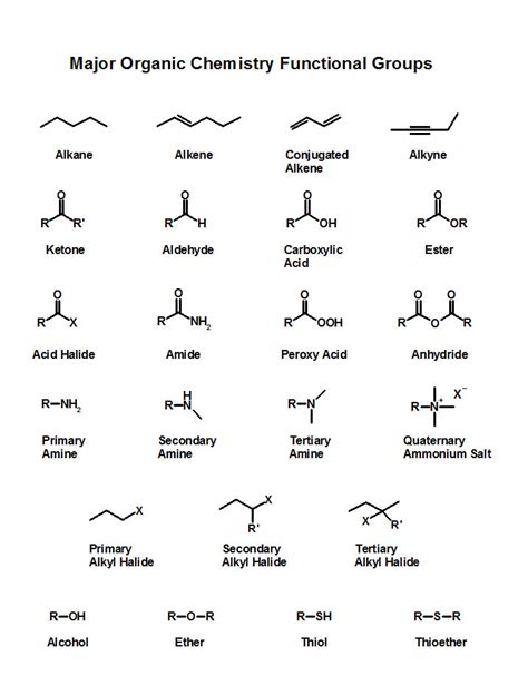 Functional Groups In Organic Chemistry With Diagrams