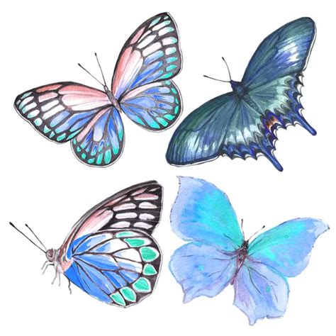 Collection Watercolor Of Flying Butterflies Stock Photo By ©artgan