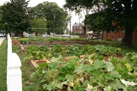 How To Organize A Community Garden Nc State Extension Publications