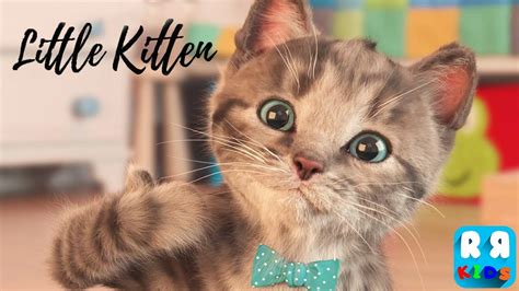 Little Kitten My Favorite Cat By Fox And Sheep Gmbh New Best App
