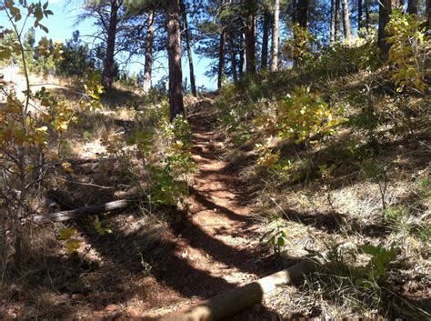 , fine arts (associates) from estrella mountain community college (2022). Prairie Trail, Custer State Park Mountain Bike Trail in ...